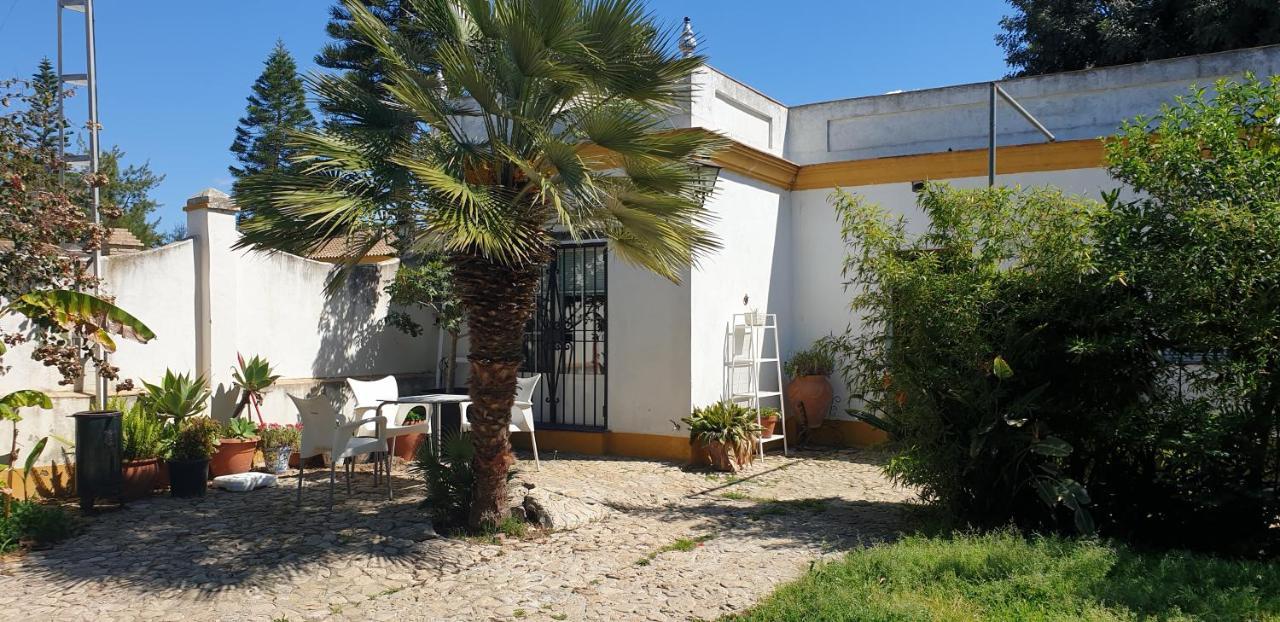 Appartement A Pie De Playa Remodelada 2024 *